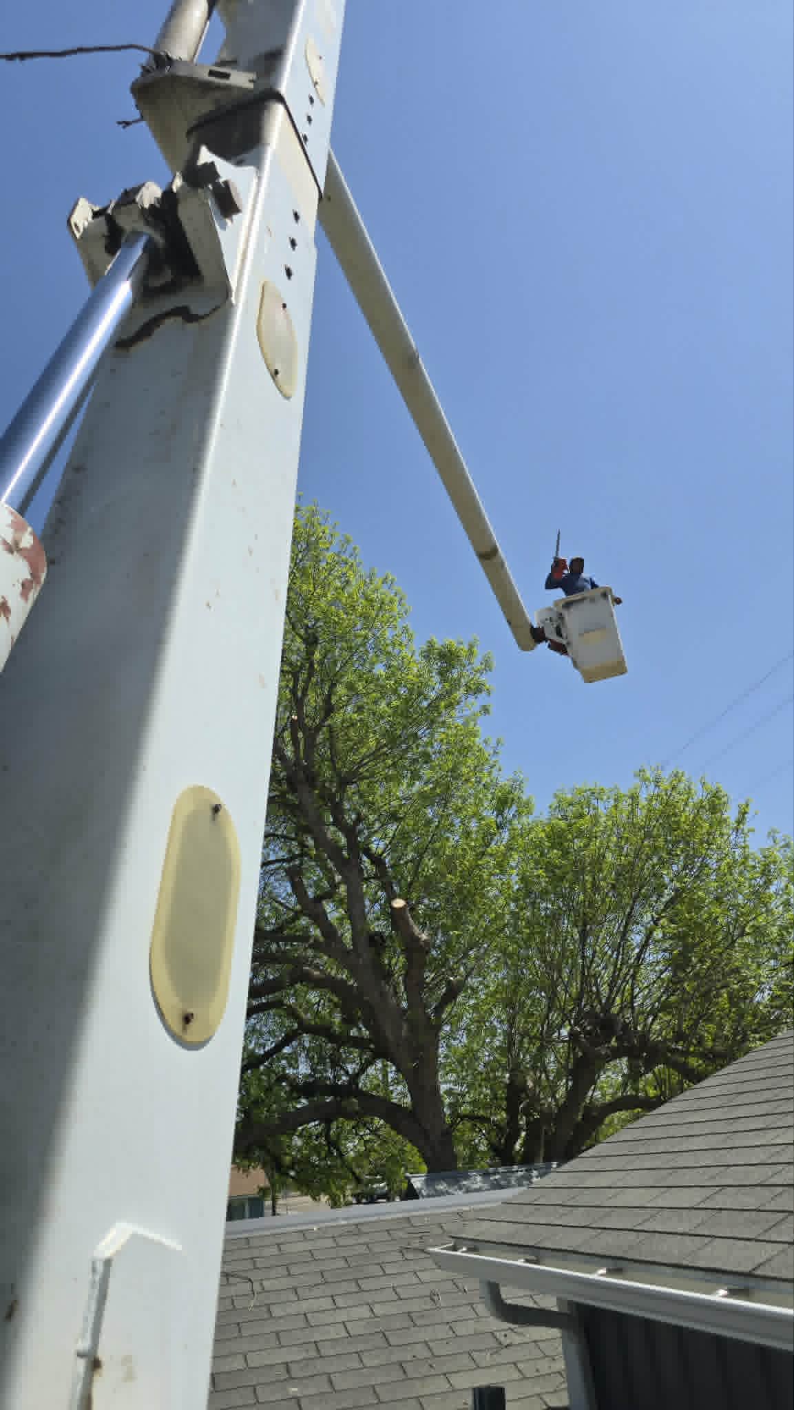 Aerial lift extended over a residential property for tree work